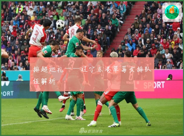 排超巡礼——辽宁东港草莓女排队伍解析