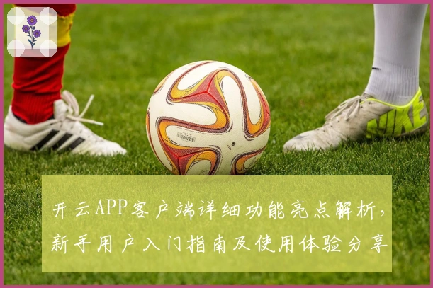 开云APP客户端详细功能亮点解析，新手用户入门指南及使用体验分享