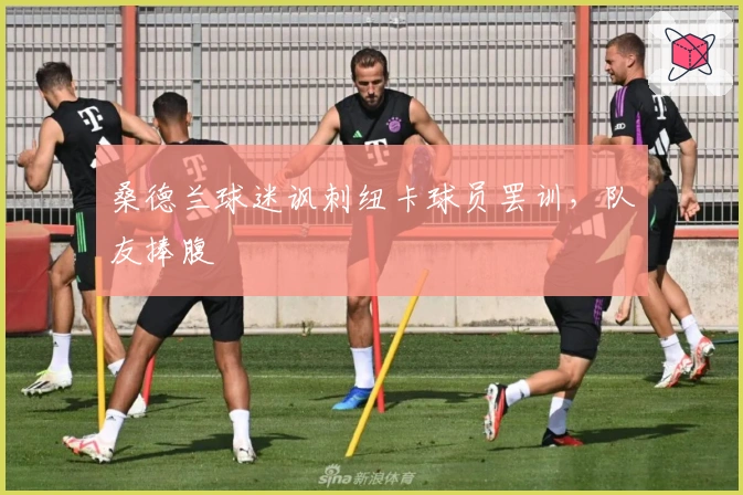 桑德兰球迷讽刺纽卡球员罢训,队友捧腹