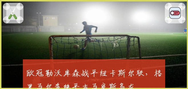 欧冠勒沃库森战平纽卡斯尔联，格里马尔多绝平吉马良斯乌龙