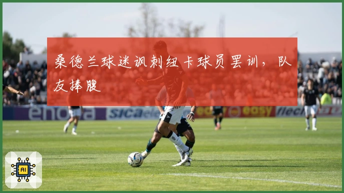 桑德兰球迷讽刺纽卡球员罢训，队友捧腹