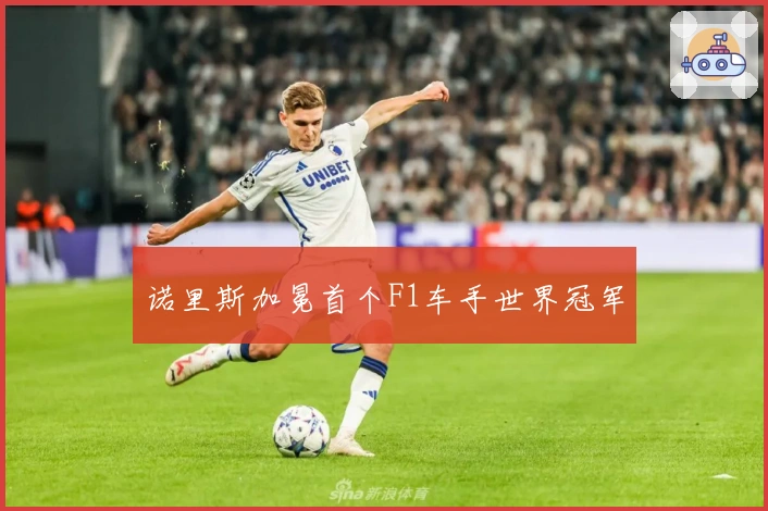 诺里斯加冕首个F1车手世界冠军