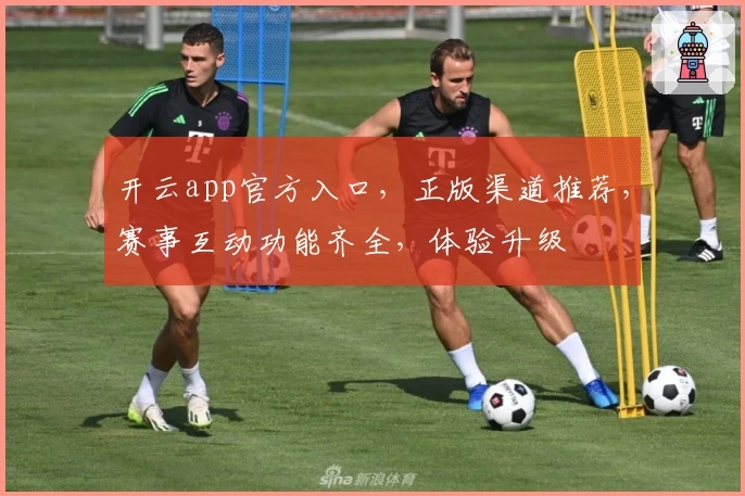 开云app官方入口，正版渠道推荐，赛事互动功能齐全，体验升级