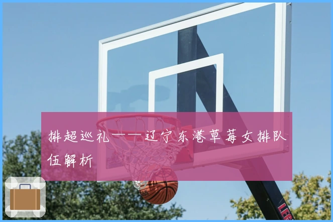 排超巡礼——辽宁东港草莓女排队伍解析