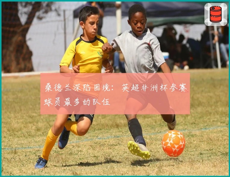 桑德兰深陷困境：英超非洲杯参赛球员最多的队伍
