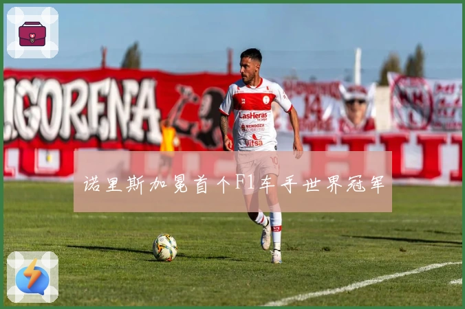 诺里斯加冕首个F1车手世界冠军